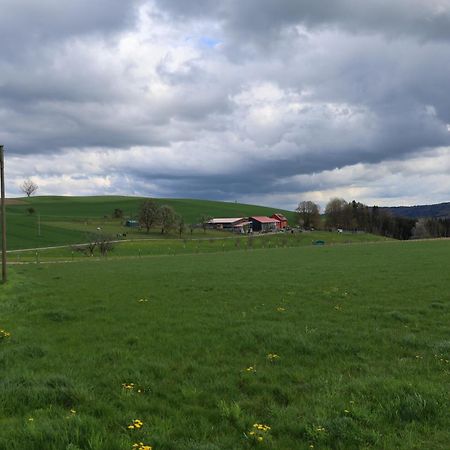 Ferienwohnung Hippenhof Hohenfels  Buitenkant foto