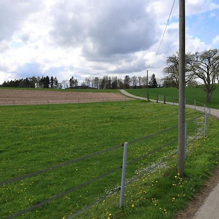 Ferienwohnung Hippenhof Hohenfels  Buitenkant foto