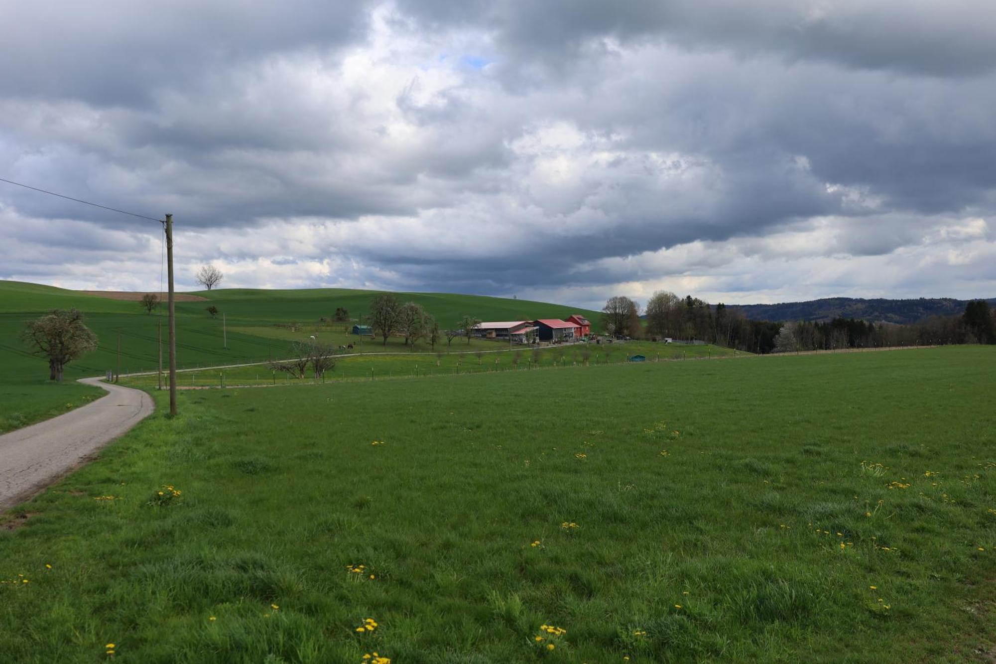 Ferienwohnung Hippenhof Hohenfels  Buitenkant foto