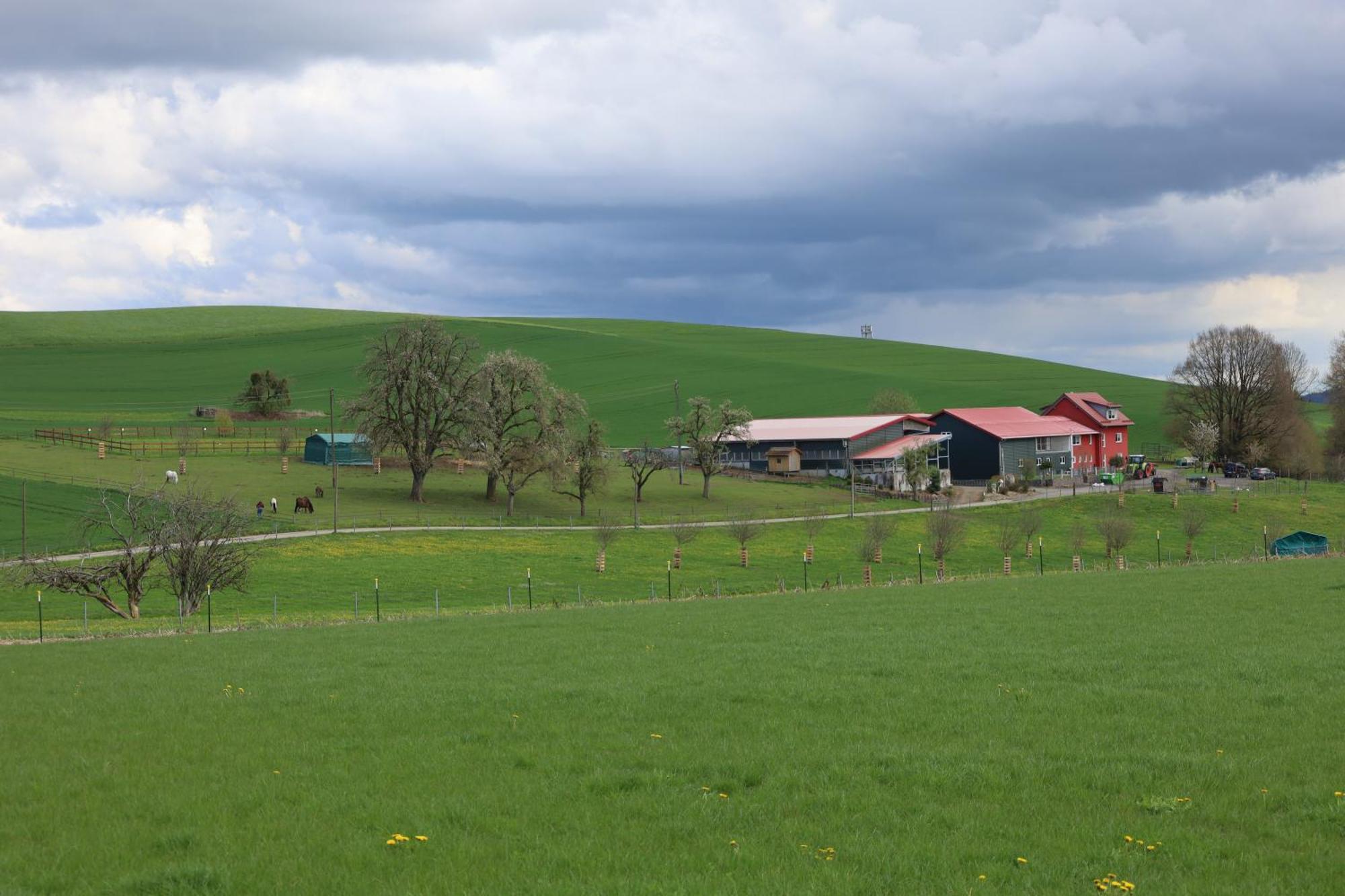 Ferienwohnung Hippenhof Hohenfels  Buitenkant foto