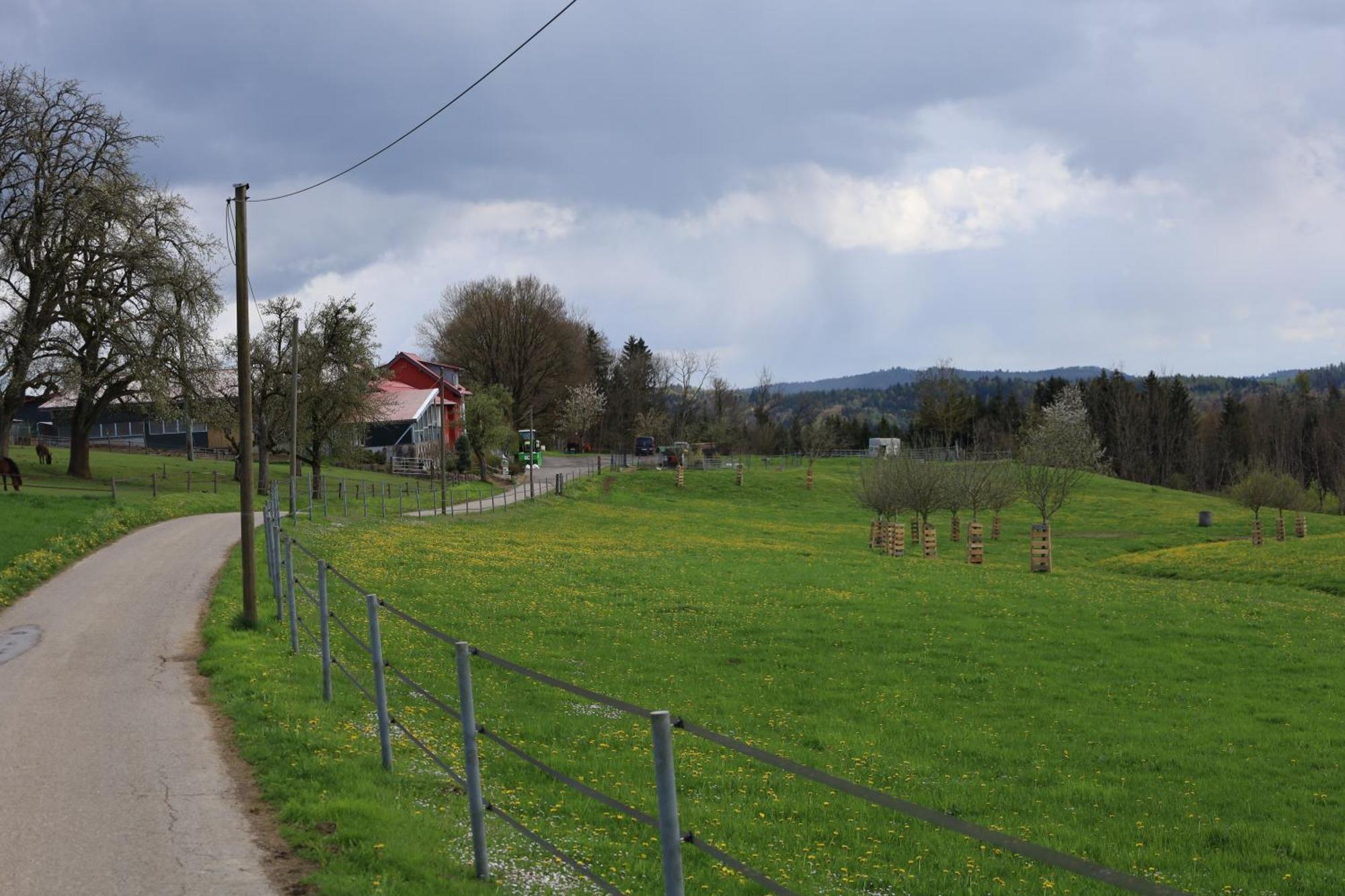 Ferienwohnung Hippenhof Hohenfels  Buitenkant foto