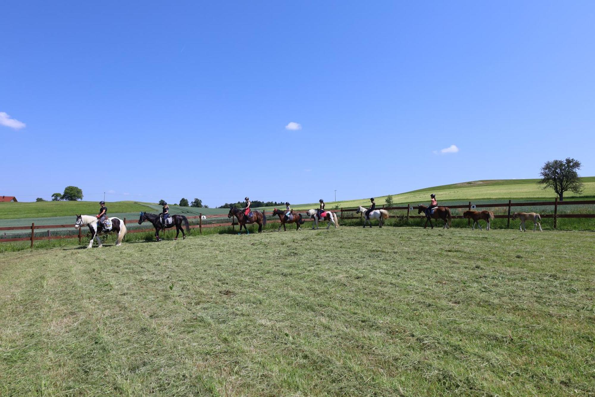 Ferienwohnung Hippenhof Hohenfels  Buitenkant foto